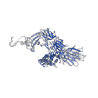25896_7thk_C_v1-1
Cryo-EM structure of prefusion SARS-CoV-2 spike omicron B.1.1.529 variant