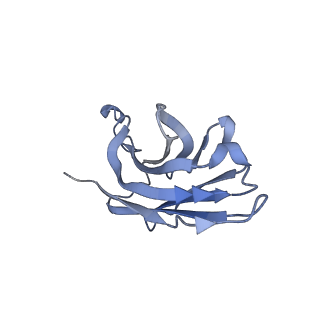 41255_8the_H_v1-1
Cryo-EM structure of Pseudomonas aeruginosa TonB-dependent transporter PhuR in complex with synthetic antibody and heme