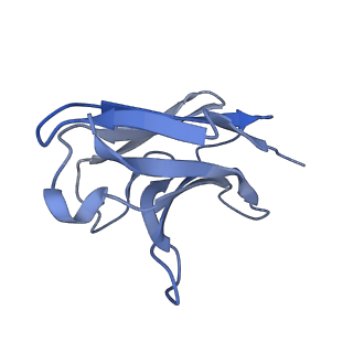 41255_8the_L_v1-1
Cryo-EM structure of Pseudomonas aeruginosa TonB-dependent transporter PhuR in complex with synthetic antibody and heme