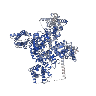 41262_8thh_A_v1-0
Cryo-EM structure of Nav1.7 with LTG