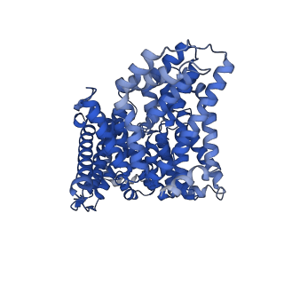 41266_8thj_A_v1-0
Cryo-EM structure of the Tripartite ATP-independent Periplasmic (TRAP) transporter SiaQM from Haemophilus influenzae (antiparallel dimer)