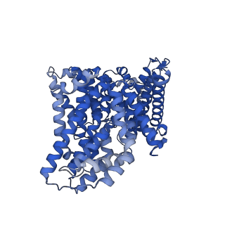 41266_8thj_B_v1-1
Cryo-EM structure of the Tripartite ATP-independent Periplasmic (TRAP) transporter SiaQM from Haemophilus influenzae (antiparallel dimer)