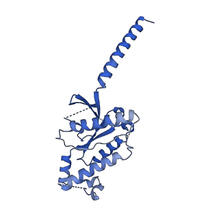 41267_8thk_A_v1-0
Cryo-EM structure of A61603-bound alpha-1A-adrenergic receptor in complex with heterotrimeric Gq-protein