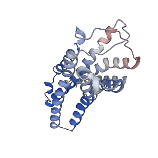 41267_8thk_R_v1-0
Cryo-EM structure of A61603-bound alpha-1A-adrenergic receptor in complex with heterotrimeric Gq-protein