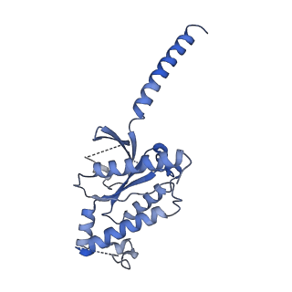 41268_8thl_A_v1-0
Cryo-EM structure of epinephrine-bound alpha-1A-adrenergic receptor in complex with heterotrimeric Gq-protein