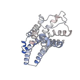 41268_8thl_R_v1-0
Cryo-EM structure of epinephrine-bound alpha-1A-adrenergic receptor in complex with heterotrimeric Gq-protein