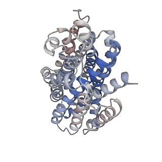 41269_8thr_A_v1-0
Structure of the human vesicular monoamine transporter 2 (VMAT2) bound to tetrabenazine in an occluded conformation