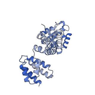 25569_7tic_B_v1-1
Structure of the yeast clamp loader (Replication Factor C RFC) bound to the sliding clamp (Proliferating Cell Nuclear Antigen PCNA) in an autoinhibited conformation