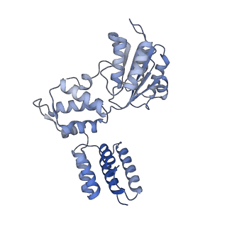 25569_7tic_C_v1-1
Structure of the yeast clamp loader (Replication Factor C RFC) bound to the sliding clamp (Proliferating Cell Nuclear Antigen PCNA) in an autoinhibited conformation