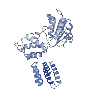 25569_7tic_C_v1-2
Structure of the yeast clamp loader (Replication Factor C RFC) bound to the sliding clamp (Proliferating Cell Nuclear Antigen PCNA) in an autoinhibited conformation