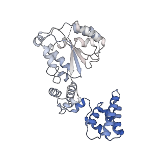 25569_7tic_D_v1-1
Structure of the yeast clamp loader (Replication Factor C RFC) bound to the sliding clamp (Proliferating Cell Nuclear Antigen PCNA) in an autoinhibited conformation