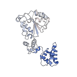 25569_7tic_D_v1-2
Structure of the yeast clamp loader (Replication Factor C RFC) bound to the sliding clamp (Proliferating Cell Nuclear Antigen PCNA) in an autoinhibited conformation