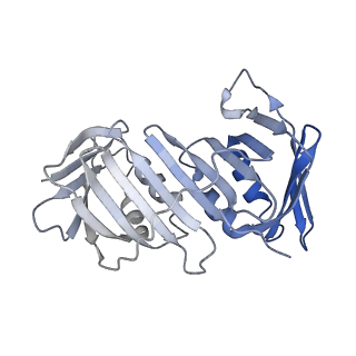 25569_7tic_F_v1-2
Structure of the yeast clamp loader (Replication Factor C RFC) bound to the sliding clamp (Proliferating Cell Nuclear Antigen PCNA) in an autoinhibited conformation