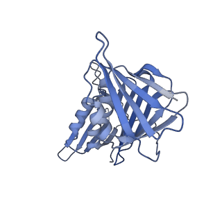 25569_7tic_G_v1-1
Structure of the yeast clamp loader (Replication Factor C RFC) bound to the sliding clamp (Proliferating Cell Nuclear Antigen PCNA) in an autoinhibited conformation