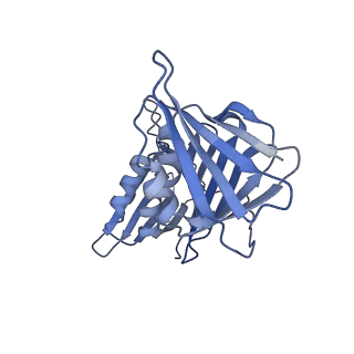 25569_7tic_G_v1-2
Structure of the yeast clamp loader (Replication Factor C RFC) bound to the sliding clamp (Proliferating Cell Nuclear Antigen PCNA) in an autoinhibited conformation