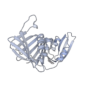 25569_7tic_H_v1-1
Structure of the yeast clamp loader (Replication Factor C RFC) bound to the sliding clamp (Proliferating Cell Nuclear Antigen PCNA) in an autoinhibited conformation