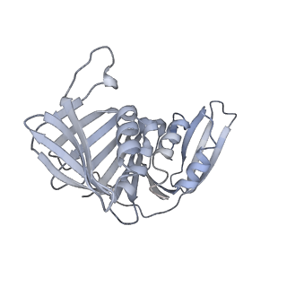 25569_7tic_H_v1-2
Structure of the yeast clamp loader (Replication Factor C RFC) bound to the sliding clamp (Proliferating Cell Nuclear Antigen PCNA) in an autoinhibited conformation