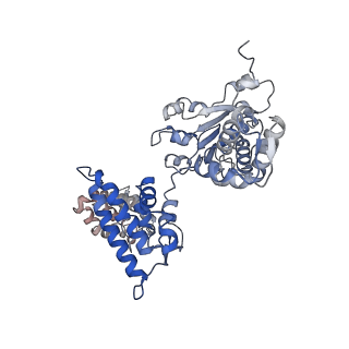 25616_7tib_A_v1-2
Structure of the yeast clamp loader (Replication Factor C RFC) bound to the open sliding clamp (Proliferating Cell Nuclear Antigen PCNA) and primer-template DNA