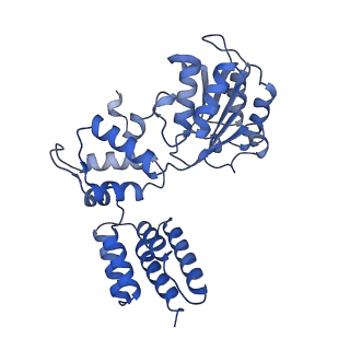 25616_7tib_C_v1-2
Structure of the yeast clamp loader (Replication Factor C RFC) bound to the open sliding clamp (Proliferating Cell Nuclear Antigen PCNA) and primer-template DNA