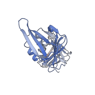 25616_7tib_G_v1-2
Structure of the yeast clamp loader (Replication Factor C RFC) bound to the open sliding clamp (Proliferating Cell Nuclear Antigen PCNA) and primer-template DNA