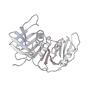 25616_7tib_H_v1-2
Structure of the yeast clamp loader (Replication Factor C RFC) bound to the open sliding clamp (Proliferating Cell Nuclear Antigen PCNA) and primer-template DNA