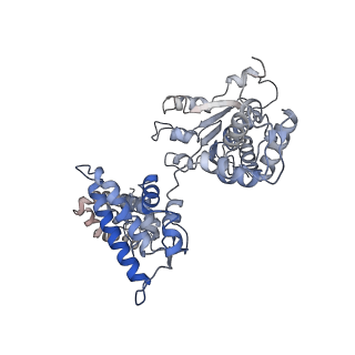 25617_7tid_A_v1-2
Structure of the yeast clamp loader (Replication Factor C RFC) bound to the sliding clamp (Proliferating Cell Nuclear Antigen PCNA) and primer-template DNA