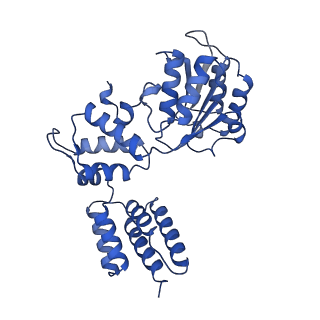 25617_7tid_C_v1-2
Structure of the yeast clamp loader (Replication Factor C RFC) bound to the sliding clamp (Proliferating Cell Nuclear Antigen PCNA) and primer-template DNA