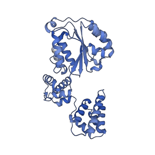 25617_7tid_D_v1-2
Structure of the yeast clamp loader (Replication Factor C RFC) bound to the sliding clamp (Proliferating Cell Nuclear Antigen PCNA) and primer-template DNA