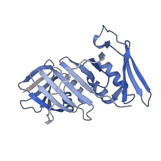 25617_7tid_F_v1-2
Structure of the yeast clamp loader (Replication Factor C RFC) bound to the sliding clamp (Proliferating Cell Nuclear Antigen PCNA) and primer-template DNA