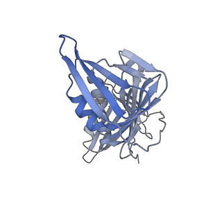 25617_7tid_G_v1-2
Structure of the yeast clamp loader (Replication Factor C RFC) bound to the sliding clamp (Proliferating Cell Nuclear Antigen PCNA) and primer-template DNA