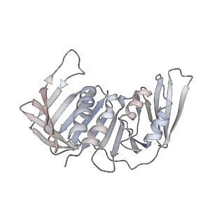 25617_7tid_H_v1-2
Structure of the yeast clamp loader (Replication Factor C RFC) bound to the sliding clamp (Proliferating Cell Nuclear Antigen PCNA) and primer-template DNA