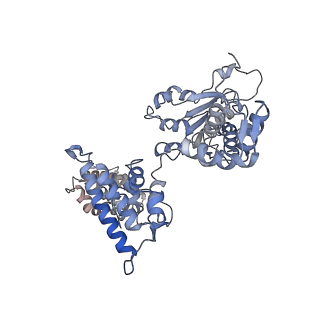 25753_7ti8_A_v1-1
Structure of the yeast clamp loader (Replication Factor C RFC) bound to the open sliding clamp (Proliferating Cell Nuclear Antigen PCNA)