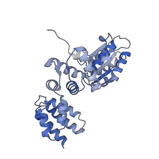 25753_7ti8_B_v1-1
Structure of the yeast clamp loader (Replication Factor C RFC) bound to the open sliding clamp (Proliferating Cell Nuclear Antigen PCNA)