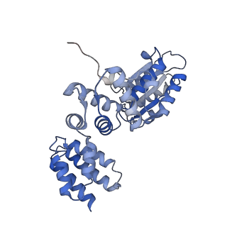 25753_7ti8_B_v1-2
Structure of the yeast clamp loader (Replication Factor C RFC) bound to the open sliding clamp (Proliferating Cell Nuclear Antigen PCNA)