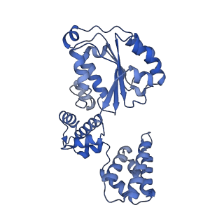 25753_7ti8_D_v1-1
Structure of the yeast clamp loader (Replication Factor C RFC) bound to the open sliding clamp (Proliferating Cell Nuclear Antigen PCNA)