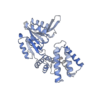 25753_7ti8_E_v1-1
Structure of the yeast clamp loader (Replication Factor C RFC) bound to the open sliding clamp (Proliferating Cell Nuclear Antigen PCNA)