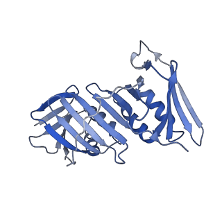 25753_7ti8_F_v1-1
Structure of the yeast clamp loader (Replication Factor C RFC) bound to the open sliding clamp (Proliferating Cell Nuclear Antigen PCNA)