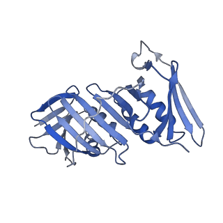 25753_7ti8_F_v1-2
Structure of the yeast clamp loader (Replication Factor C RFC) bound to the open sliding clamp (Proliferating Cell Nuclear Antigen PCNA)