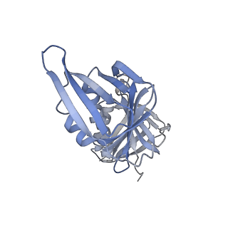 25753_7ti8_G_v1-1
Structure of the yeast clamp loader (Replication Factor C RFC) bound to the open sliding clamp (Proliferating Cell Nuclear Antigen PCNA)