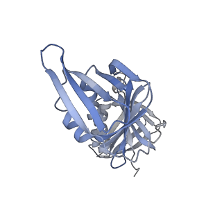 25753_7ti8_G_v1-2
Structure of the yeast clamp loader (Replication Factor C RFC) bound to the open sliding clamp (Proliferating Cell Nuclear Antigen PCNA)