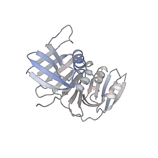 25753_7ti8_H_v1-1
Structure of the yeast clamp loader (Replication Factor C RFC) bound to the open sliding clamp (Proliferating Cell Nuclear Antigen PCNA)