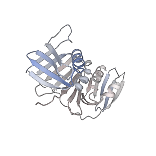 25753_7ti8_H_v1-2
Structure of the yeast clamp loader (Replication Factor C RFC) bound to the open sliding clamp (Proliferating Cell Nuclear Antigen PCNA)