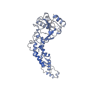 25913_7til_A_v1-2
CryoEM structure of JetD from Pseudomonas aeruginosa