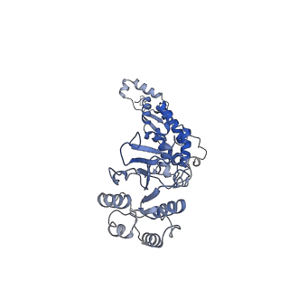 25913_7til_B_v1-2
CryoEM structure of JetD from Pseudomonas aeruginosa