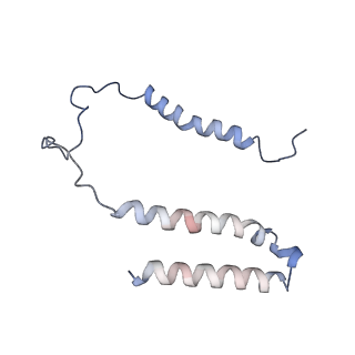 10513_6tjv_C_v1-0
Structure of the NDH-1MS complex from Thermosynechococcus elongatus