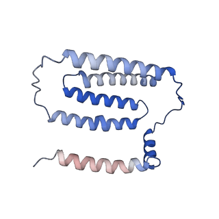 10513_6tjv_G_v1-0
Structure of the NDH-1MS complex from Thermosynechococcus elongatus
