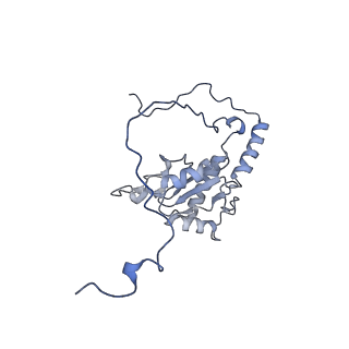 10513_6tjv_K_v1-0
Structure of the NDH-1MS complex from Thermosynechococcus elongatus