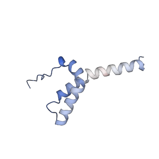 10513_6tjv_L_v1-0
Structure of the NDH-1MS complex from Thermosynechococcus elongatus