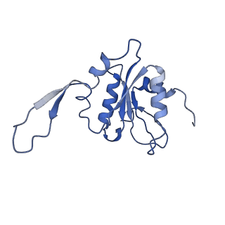 10513_6tjv_N_v1-0
Structure of the NDH-1MS complex from Thermosynechococcus elongatus