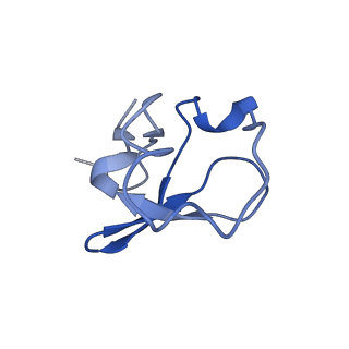 10513_6tjv_O_v1-0
Structure of the NDH-1MS complex from Thermosynechococcus elongatus